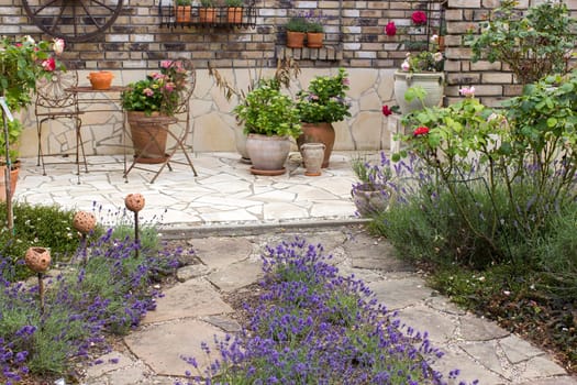 beautiful place in the garden in the mediterranean style - roses and lavender flowers