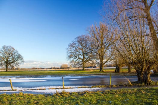 German countryside landscape with tree in winter, Lower Rhine Region, Germany