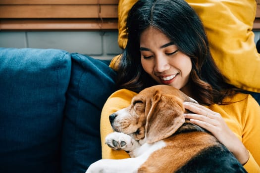 In the living room, a woman and her Beagle dog nap on the sofa, showcasing their friendship, trust, and the concept of best friends forever. It's a portrait of relaxation at home. Pet love