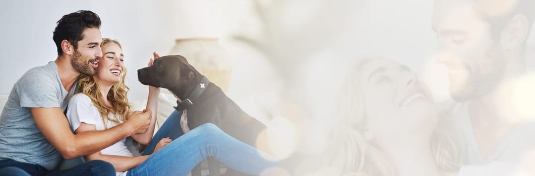 Happy, couple and relax with dog in home, mockup and banner for foster, adoption or love for rescue pitbull. People, pet and double exposure with space for puppy, info or care for animal in house.
