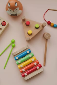 Eco-friendly colored wooden educational toys according to the Montessori method for preschool children. Children's wooden toys. Educational logic toys for kids. Montessori Games for Child Development