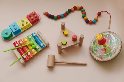 Eco-friendly colored wooden educational toys according to the Montessori method for preschool children. Children's wooden toys. Educational logic toys for kids. Montessori Games for Child Development