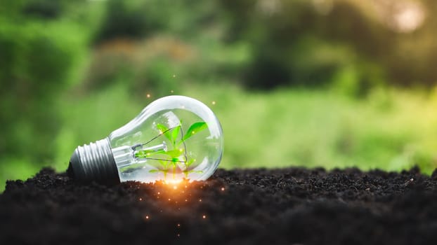 Concept of renewable energy, environmental protection, and sustainable renewable energy sources. Plants grow in light bulb placed on a soil surface and have a natural green background. Green energy concept.