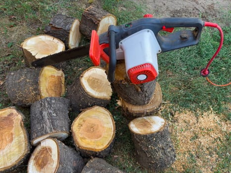 An electric saw rests on a pile of recently cut logs, with wood chips scattered around. The setting is an outdoor area in a natural environment, ideal for firewood preparation.