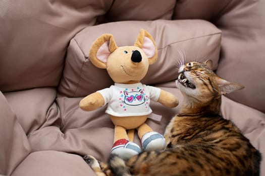 Animals. A beautiful Bengal cat lies with a soft toy plush mouse. Home interior.