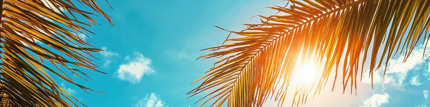 view of the sun through palm leaves. selective focus.