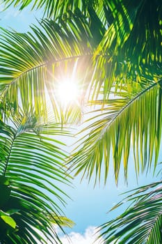 view of the sun through palm leaves. selective focus.