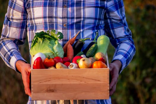 Farmer man holding vegetables in the garden. homegrown vegetables