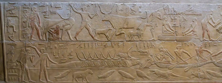 Everday life illustrated in carvings on walls of the tomb of Kagemni, Vizier to King Teti, in the Necropolis of Sakkara