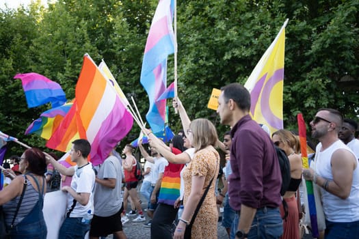 Group of homosexual people with rainbow flags at gay pride parade on street in city. Males and females are celebrating LGBTQ rights during sunny day