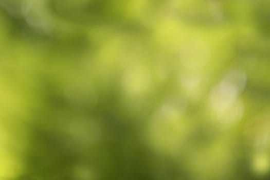 Green blurred background with bokehs