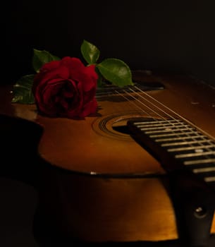 rose and guitar instrument guitar music. High quality photo
