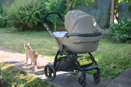 A stroller with a child is standing in the garden and a ginger cat is walking nearby