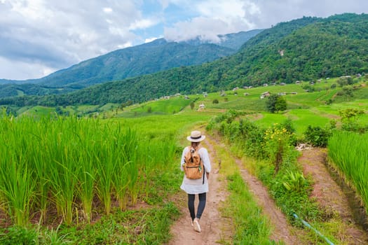 Terraced Rice Field in Chiangmai, Thailand, Pa Pong Piang rice terraces, green rice paddy fields during rain season. Asian woman walking hiking in the mountains