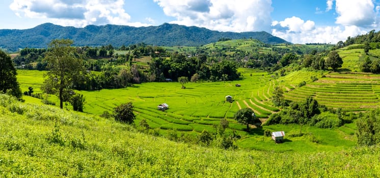 Beautiful Terraced Rice Field in Chiangmai during the green rain season, Thailand. Royal Project Khun Pae Northern Thailand