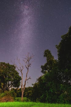 Terraced Rice Field in Chiangmai during the green rain season, Thailand. Royal Project Khun Pae Northern Thailand. milkyway starry night above a farm homestay