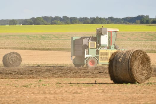 Tractor cleans the field with flax and makes bales