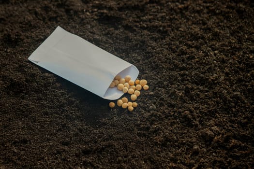 Seed Planting: A Variety of Crops for Future Harvest. Selective focus.