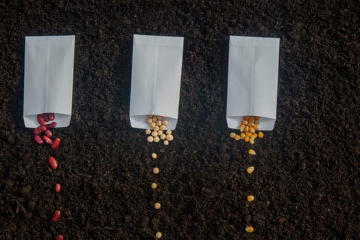 Seed Planting: A Variety of Crops for Future Harvest. Selective focus.