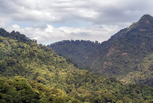 Amazing morning green trees and mountains with sunlight clouds and sky background. Natural summer landscape, use it as your Wallpaper, Poster and Space for text, Selective focus.