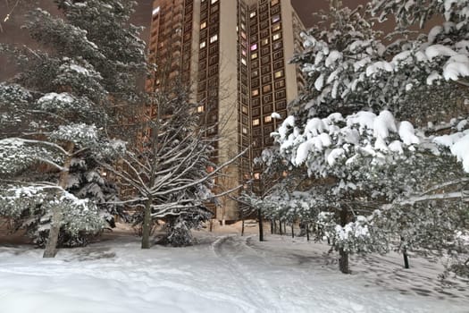 Frosty winter city park in the Moscow, Russia