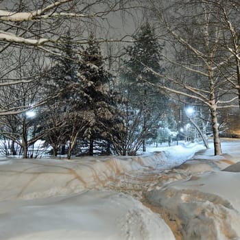 Frosty winter city park in the Moscow, Russia