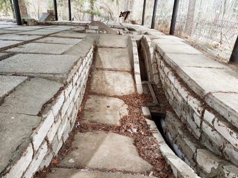 Concrete structures serve as training burrows for hunting dogs, facilitating their instinctual behaviors in a natural setting.