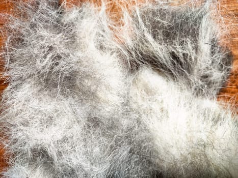 Soft and fuzzy fibers in white and gray tones rest on a textured background, perfect for crafting or textile design inspiration.