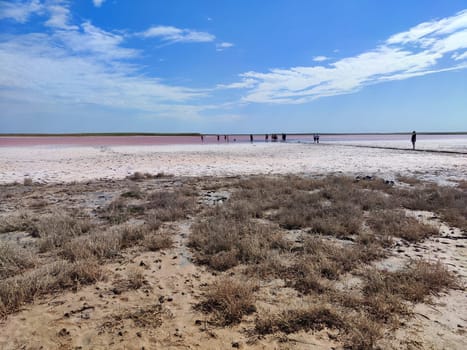 Elista, Russia - April 22, 2024: Groups of tourists walk across the unique landscape of the Pink Salt Lake in Kalmykia, experiencing its vibrant colors and natural beauty.