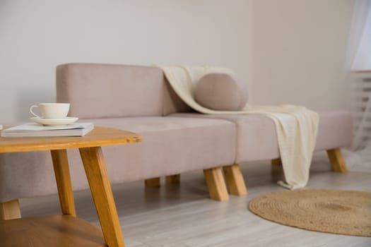 Work from home, renting apartment, buying, ad of real estate. Gray sofa with pillows