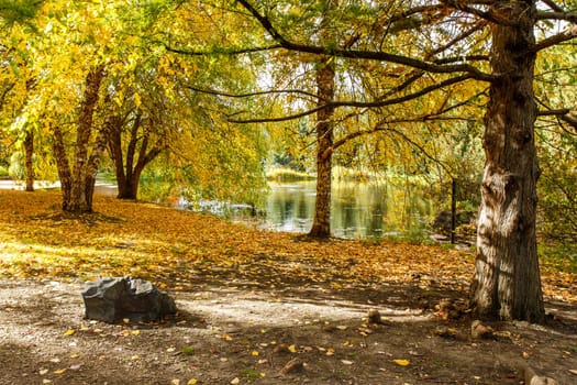 By the pond during Autumn at the Arboretum in Moscow, Idaho.