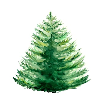 Fir tree. Watercolor illustration of a coniferous tree. Fluffy green fir tree. Fluffy forest beauty is hand-drawn.