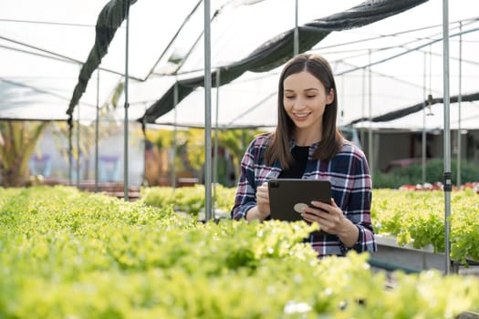 A female farmer tending to organic vegetables in a greenhouse, showcasing sustainable agriculture and modern farming techniques.