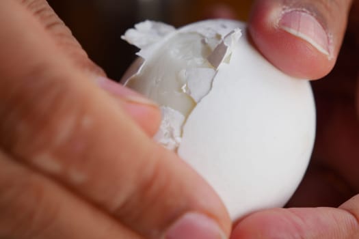 women hand perfectly Peeled Boiled Eggs .