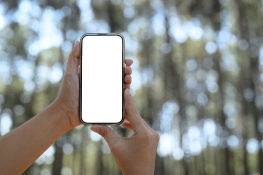 Hands holding mobile phone with a white screen against a blurred forest backdrop.