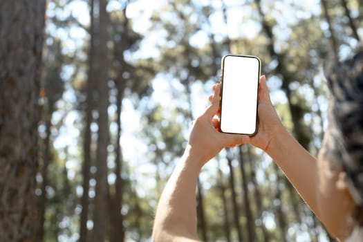 Hands holding smartphone with blank screen in a wooded area and sunlight streaming through the trees.