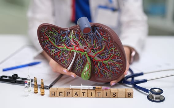 Anatomical liver model showcasing Hepatitis B effects, essential medical tools, and awareness initiatives