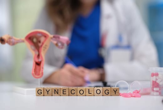 This is a gynecology model featuring a healthcare professional working in a clinical environment setting
