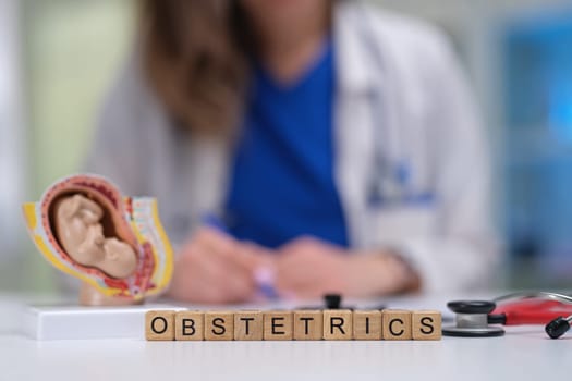Explore the fascinating field of obstetrics through a comprehensive model that depicts fetal development stages