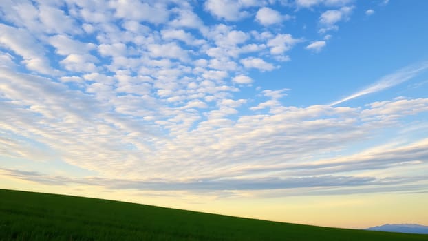 This captivating landscape image features a picturesque scene of a gently sloping green field extending across the lower portion of the frame. The field, vibrant and lush, appears to be a cultivated area, possibly farmland or pasture. Above, the sky dominates, filled with a breathtaking display of numerous small, fluffy cumulus clouds spread across a brilliant blue canvas. The clouds are primarily white and light gray, displaying beautiful textural variations. The light suggests either early morning or late evening, adding a serene and peaceful ambiance. The overall mood is calm and tranquil, making it perfect for projects relating to nature, tranquility, agriculture, or environmental themes. The high resolution ensures crisp detail and vibrant color reproduction for various applications, including calendars, website banners, brochures, and more.