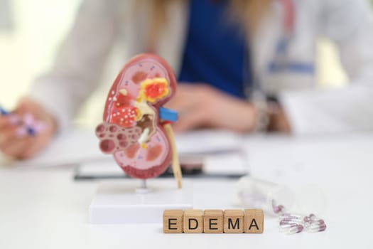 A detailed kidney model highlighting edema aspects, vital for medical education and public awareness