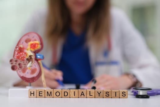 A medical professional is carefully discussing hemodialysis while focusing on a detailed kidney model as a visual aid
