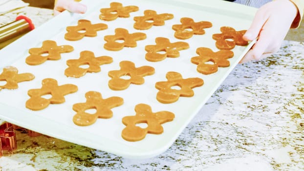 Freshly cut-out gingerbread cookies rest on a baking sheet, lined with parchment paper, awaiting a cool and refreshing chill in the fridge before their delicious transformation in the oven.