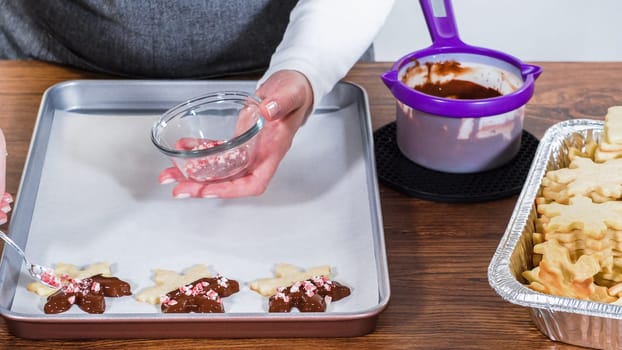 Crafting star-shaped holiday cookies dipped in chocolate and sprinkled with variety of toppings.