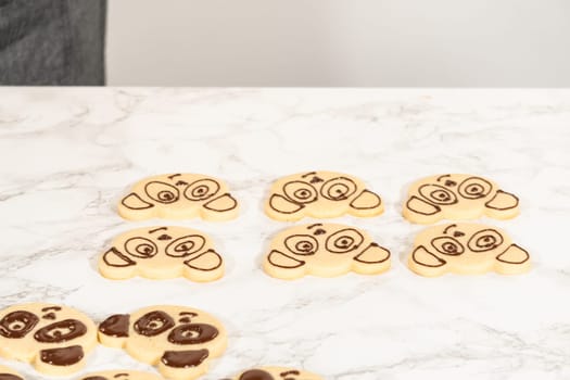 Full Batch of Panda Face Cookies Description: Front view of a full batch of decorated panda face cookies arranged on a marble surface, each detailed with chocolate royal icing for eyes, ears, and nose.