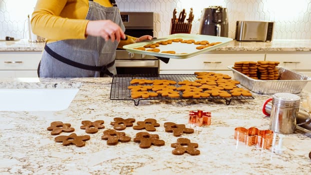 After baking to perfection, these delightful gingerbread cookies are now cooling gracefully on a wire rack, filling the modern kitchen with a warm and inviting aroma.