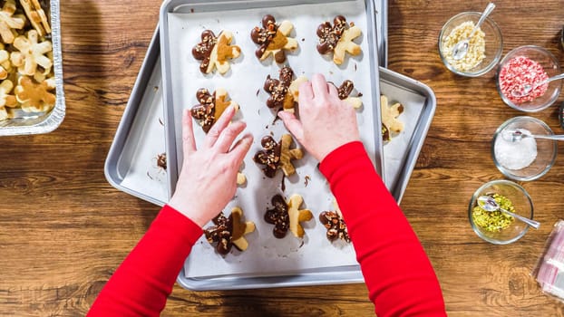 Flat lay. Carefully packaging Christmas cutout cookies, half-dipped in chocolate, sprinkled with crushed nuts, and presented in clear cellophane wrapping.