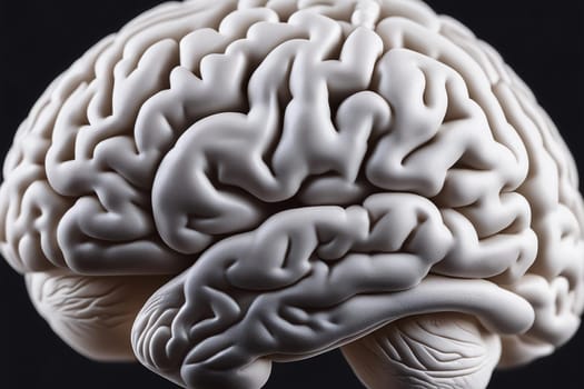 Close-up of anatomical image of human brain
