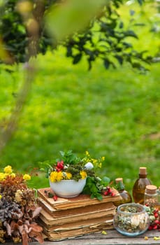 Medicinal herbs alternative medicine in nature. Selective focus. Flowers.