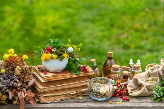 Medicinal herbs alternative medicine in nature. Selective focus. Flowers.